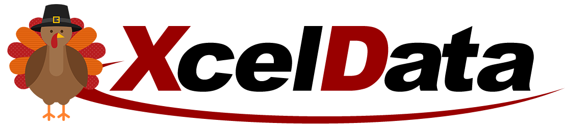 XcelData Inc. Logo